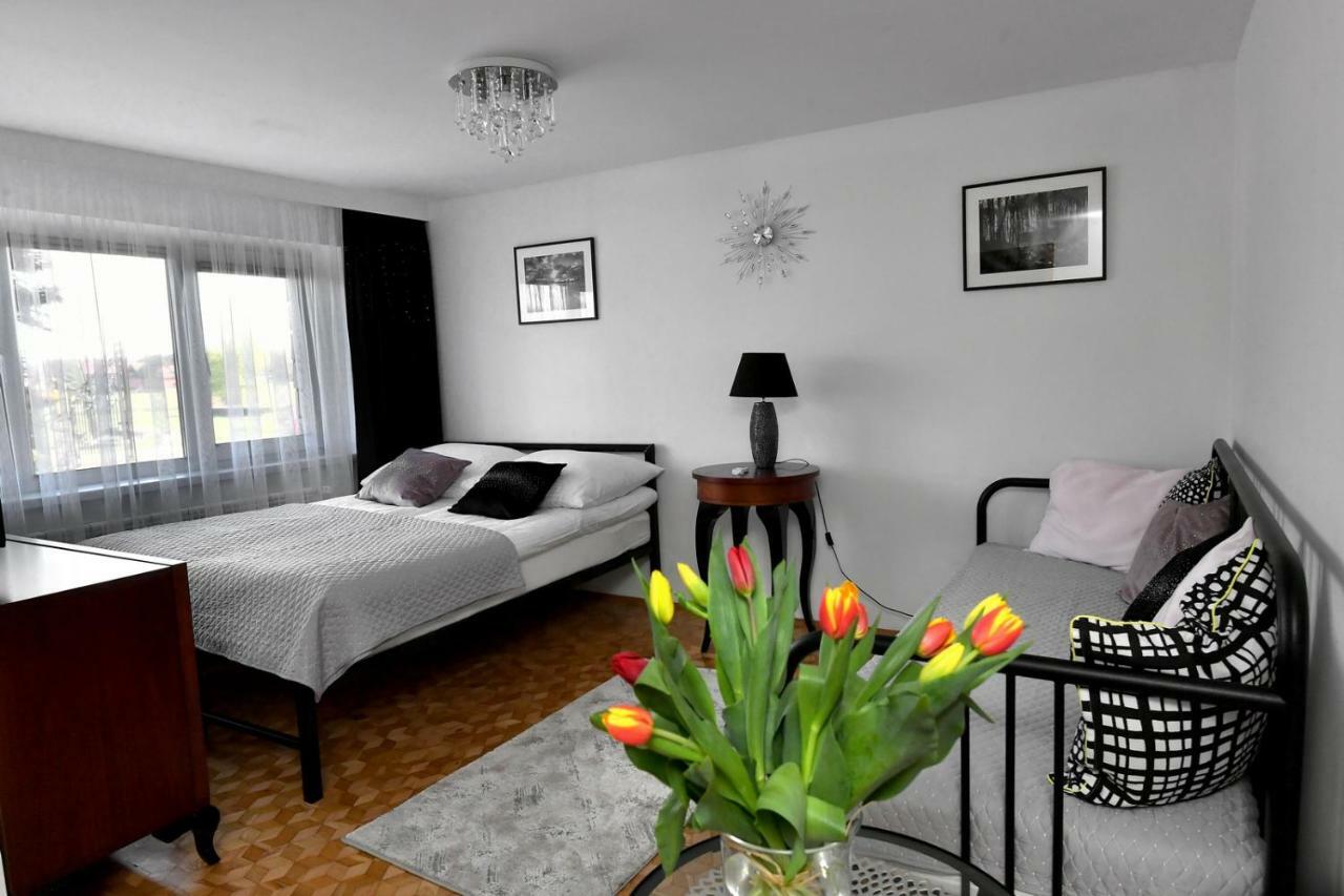 Apartament Spytkowice - Energylandia Krakow Oswiecim Wadowice Exterior photo